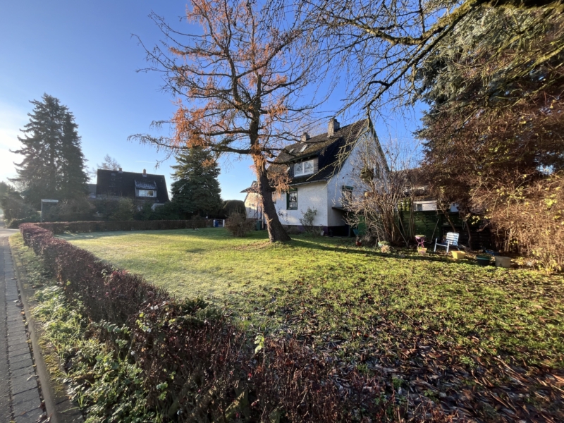 Haus mit Garten und Baum