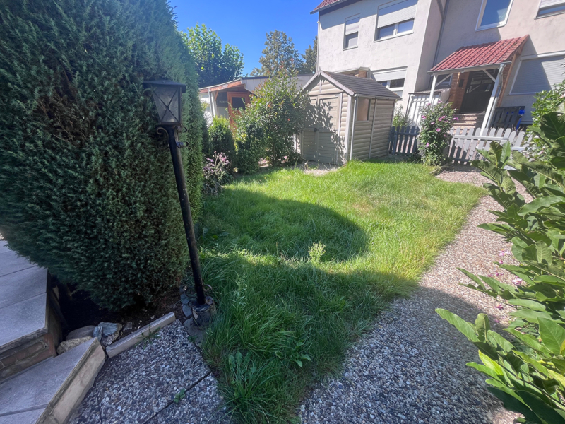 Kleine Grünfläche im Garten mit Schuppen