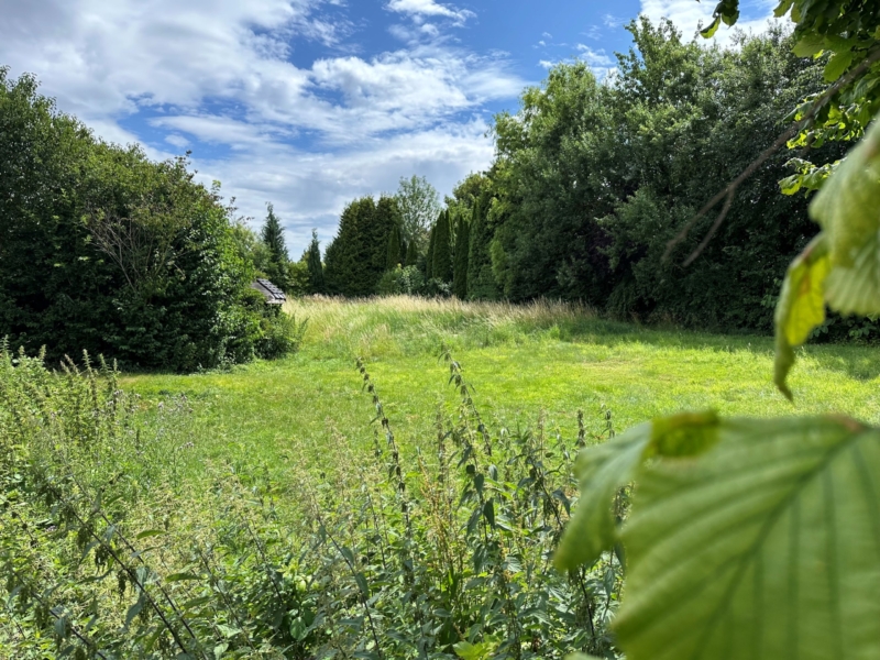 Blick in den Garten vom Holzhaus in Räbke