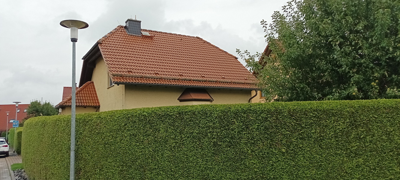 Seitenansicht eines Einfamilienhauses mit rotem Satteldach und gepflegter Hecke in Nordhausen